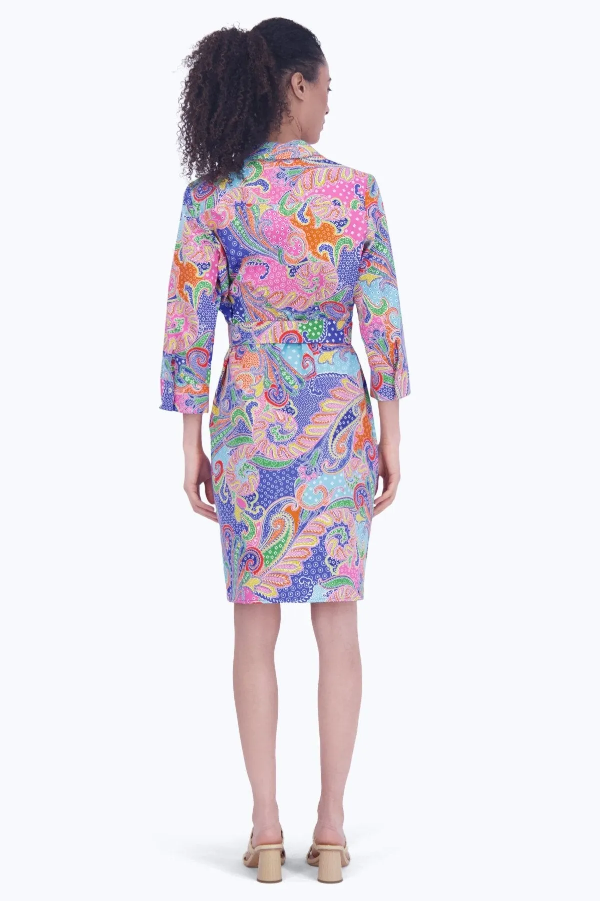 Rocca No Iron Multicolor Paisley Dress